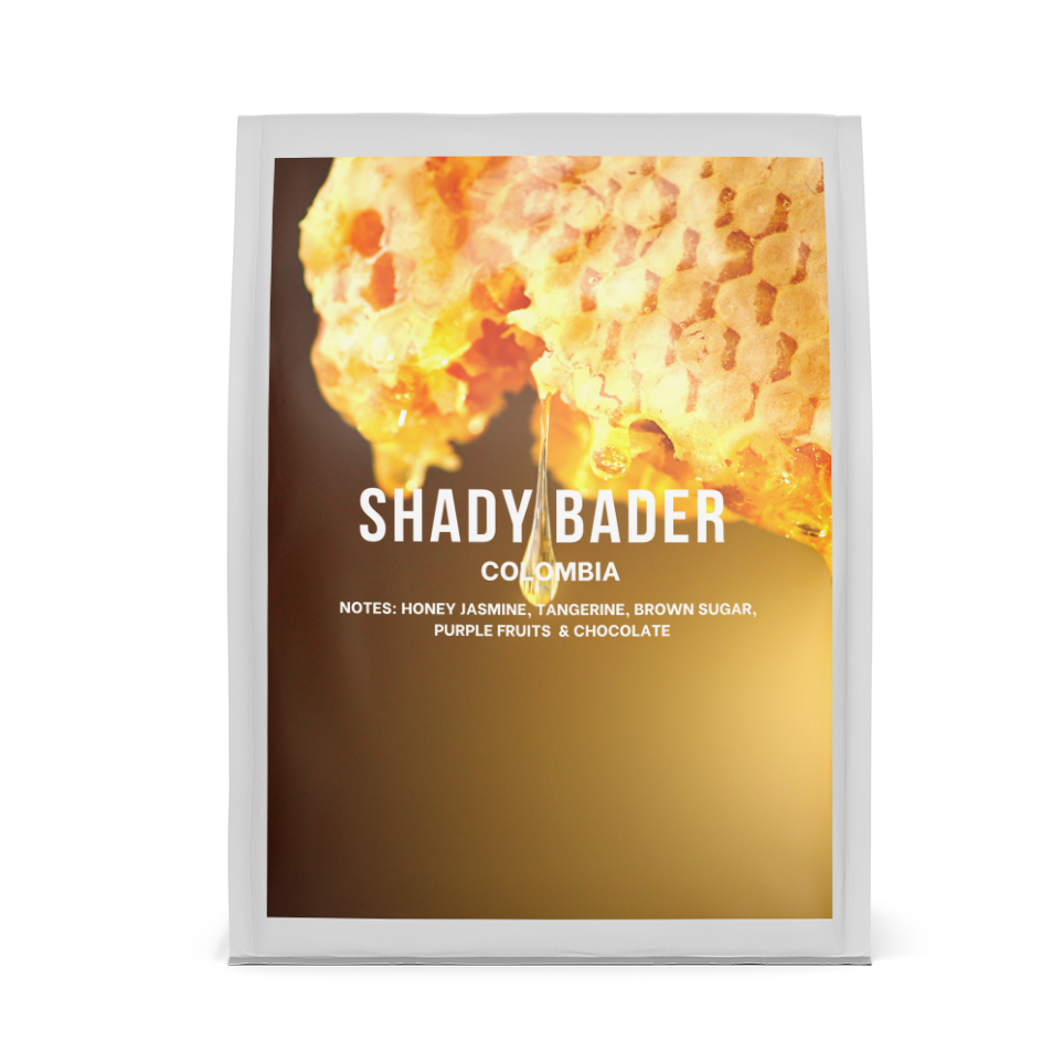 SHADY BADER - BAG