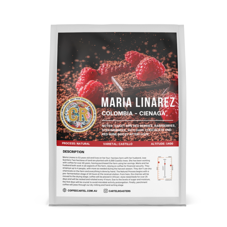 MARIA LINAREZ - BAG