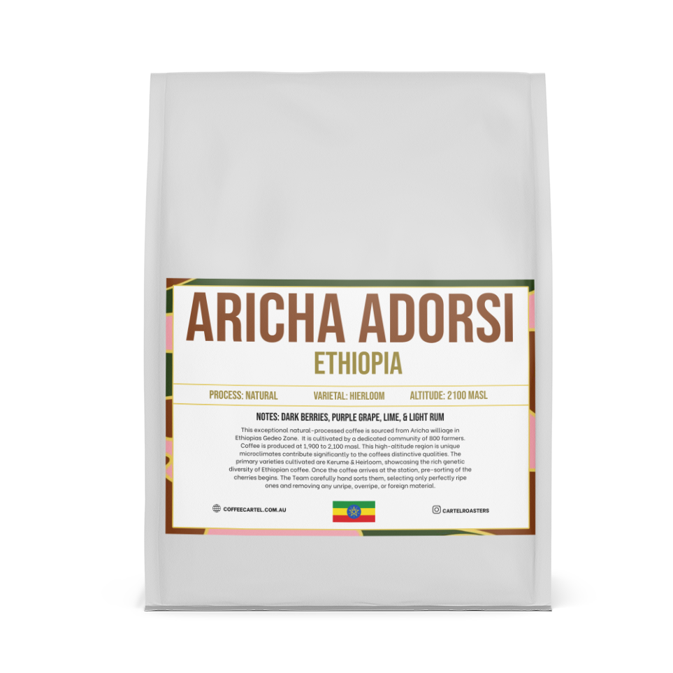 ARICHA ADORSI - BAG