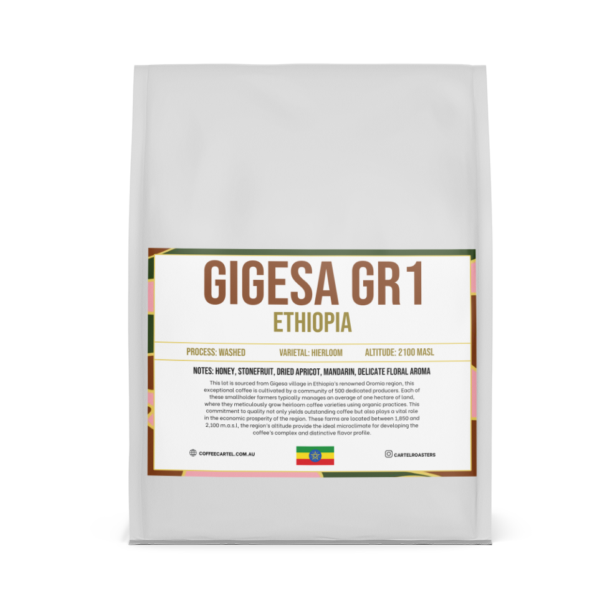 Gigesa GR1 coffee bag