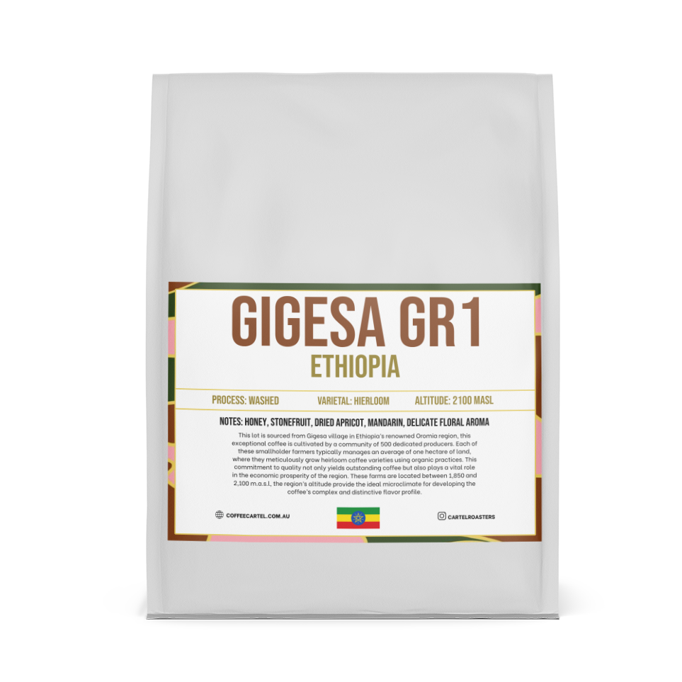 ETHIOPIA – GIGESA GR1 – GUJI – WASHED PROCESS