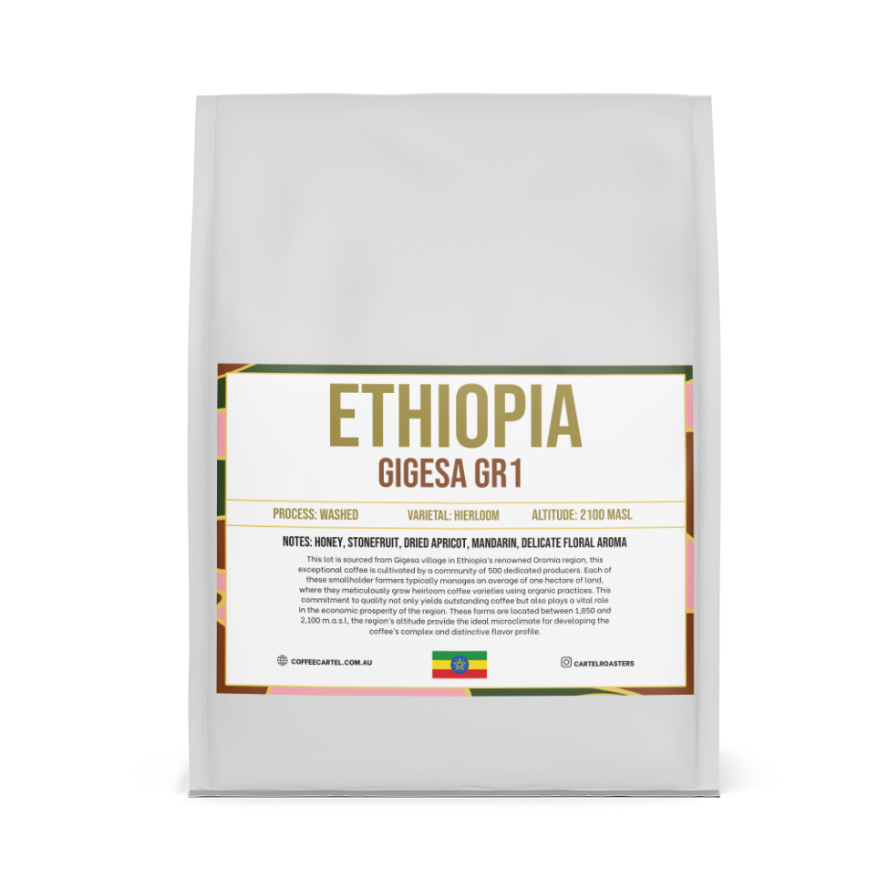 ETHIOPIA – GIGESA GR1 – GUJI – WASHED PROCESS